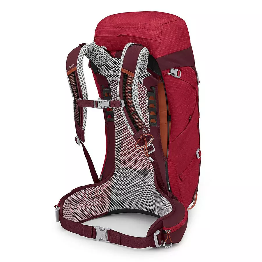 【Osprey】男款 Stratos 36L 透氣網背登山背包-聖誕紅